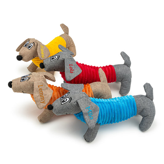 Personalised Squeaky Dog Toy